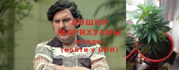 круглые Ладушкин