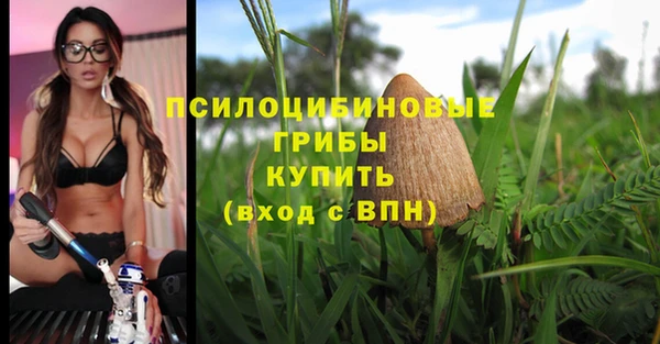 круглые Ладушкин