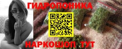 индика Канаш