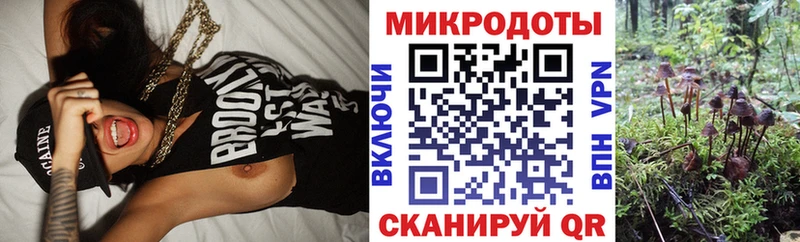 Псилоцибиновые грибы Psilocybe  где продают наркотики  Луга 
